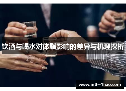 饮酒与喝水对体脂影响的差异与机理探析 饮酒与喝水对体脂影响的差异与机理探析