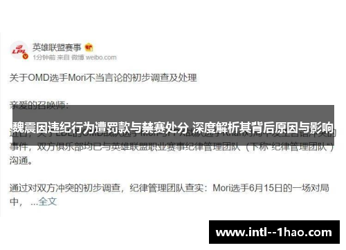魏震因违纪行为遭罚款与禁赛处分 深度解析其背后原因与影响