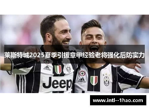莱斯特城2025夏季引援意甲经验老将强化后防实力